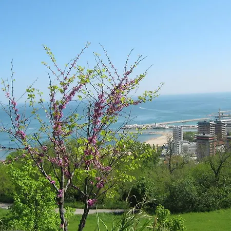 فندق Mare